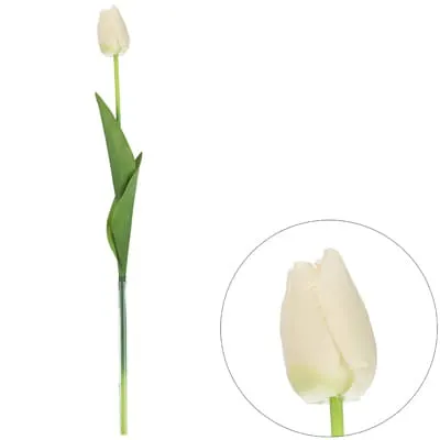 Tulipan pojedynczy na gałązce (omszały), 46cm, biały