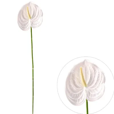Anturium, 57 cm, kremowo-zielony