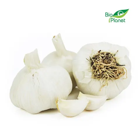 Czosnek Świeży BIO (około 0,20 kg) Bio Planet