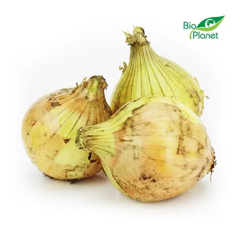 Cebula Żółta Świeża Polska BIO (około 1 kg) Bio Planet