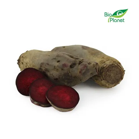 Burak Podłużny Świeży Polski BIO ok. 1 kg Bio Planet
