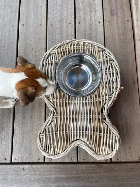 Miska dla psa RR Bone Lovely Baskets
