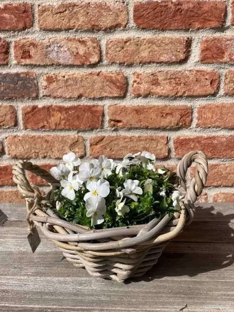 Okrągły kosz ratanowy z uchwytami 26x12