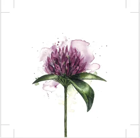Papierowe serwetki Sögne clover flower