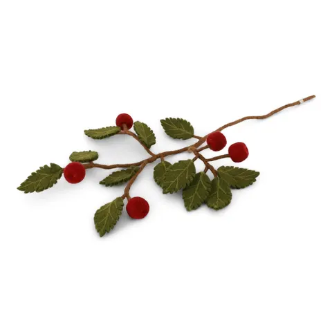 Branch with Dark red Apples Gry & Sif