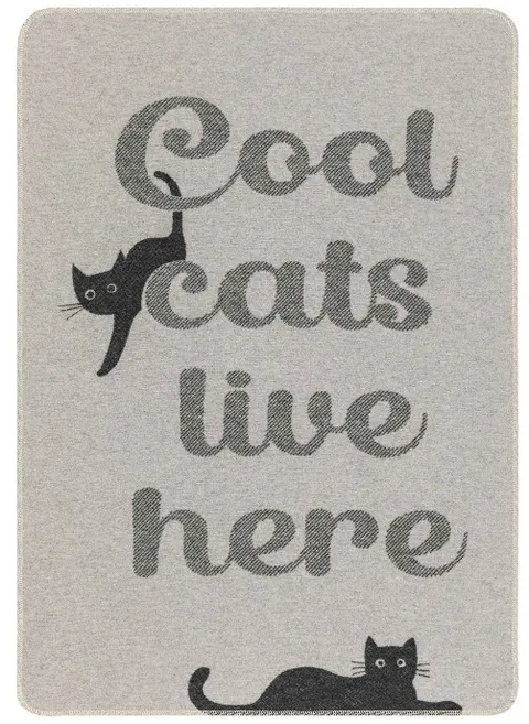 Kocyk dla kotka Cool Cats Live Here 70x90 grey