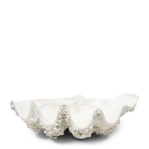 Ozdoba muszla Shell Oceanis Decoration Riviera Maison M