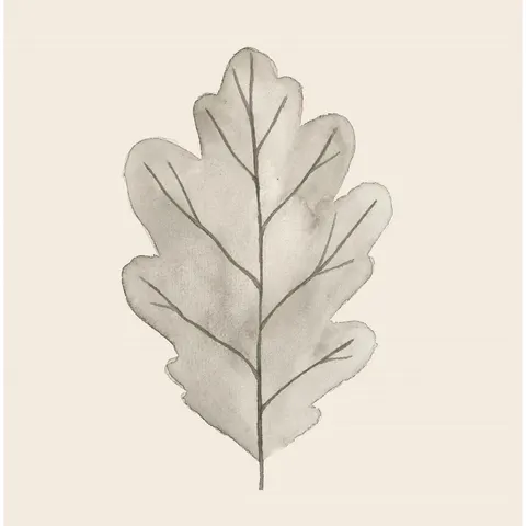 Papierowe serwetki oak leaf forest treasures IB Laursen 12,5x 12,5 cm