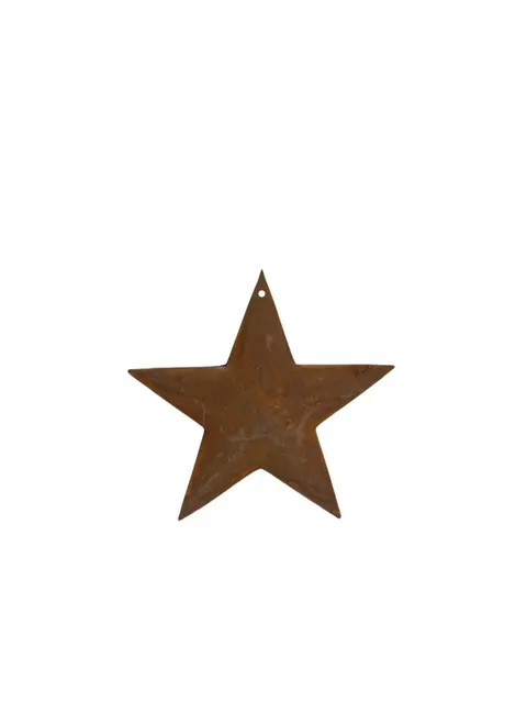 Ozdoba Veronica - Iron Star fi8