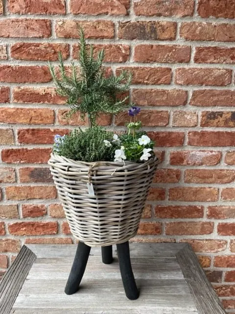 Kosz rattanowy On Legs Lovely Baskets M Black Drypot