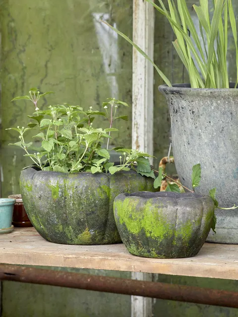 Donica Gertrud - Choko Patina fi 31 B Green