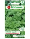 Jarmuż Halbhoher Grüner Krauser nasina 1g - W. Legutko