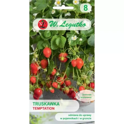 Truskawka Temptation nasiona 0,03g - W. Legutko