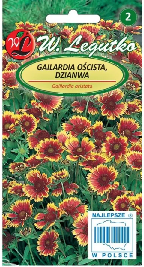 Gailardia oścista mieszanka 1g nasiona - W. Legutko