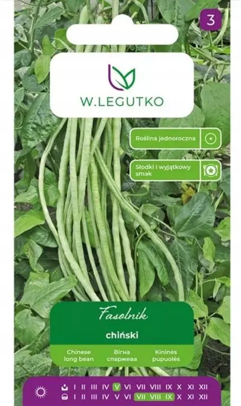 Fasolnik chiński – nasiona pnącej odmiany o bardzo długich, słodkich strąkach – Legutko