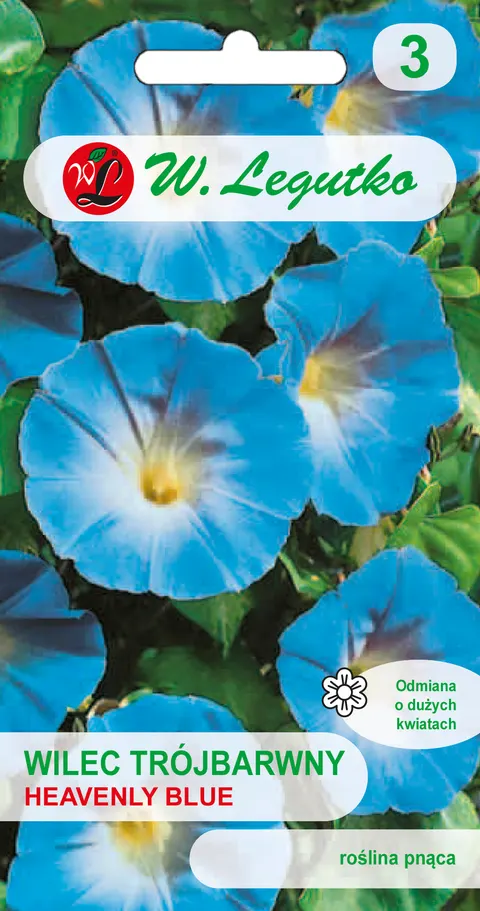 Wilec trójbarwny Heavenly Blue niebieski nasiona 2g - W. Legutko