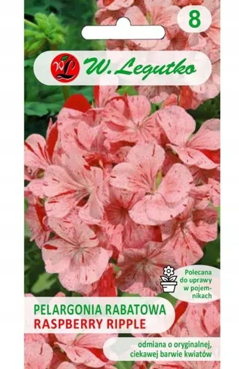 Pelargonia rabatowa Raspbery Ripple nasiona 0,04g - W. Legutko