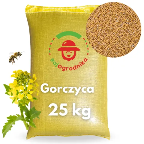 Gorczyca biała na poplon nasiona miododajna 25kg - REDUM