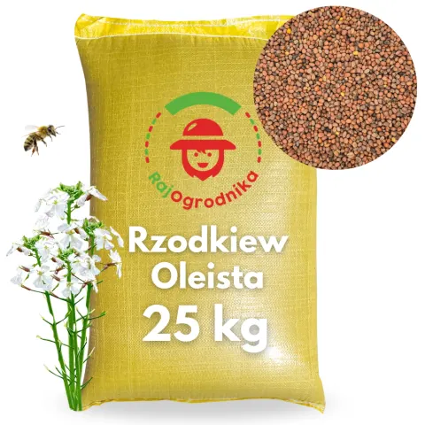Rzodkiew oleista na poplon nasiona 25kg