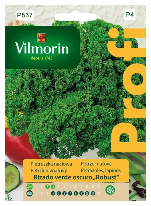 Pietruszka naciowa Rizado verde oscuro Robust nasiona 4g - VILMORIN