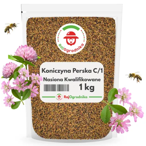 Koniczyna PERSKA C/1 SZYBKO ROŚNIE nasiona KWALIFIKOWANE 1 KG