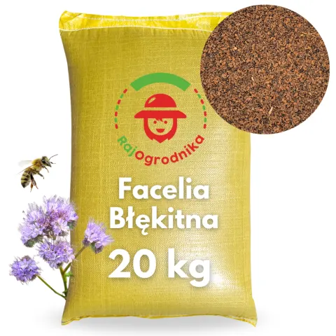Facelia błękitna na poplon roślina miododajna nasiona 20kg - REDUM