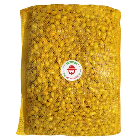 Cebula Dymka Ozima Senshyu Yellow 5-20 mm zimowa 10kg