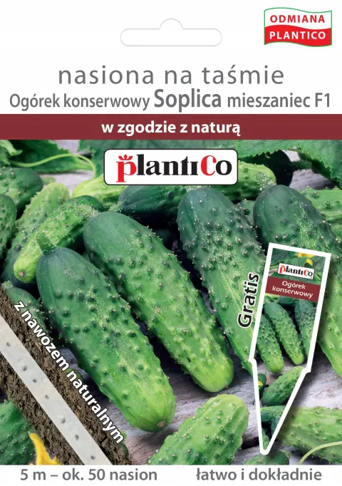 Ogórek gruntowy Soplica nasiona na taśmie 5m - Plantico