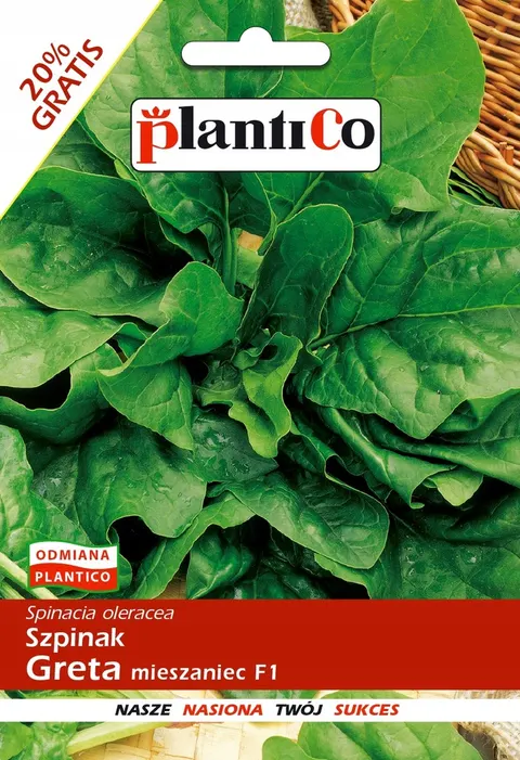 Szpinak Greta F1 nasiona 10g - PlantiCo