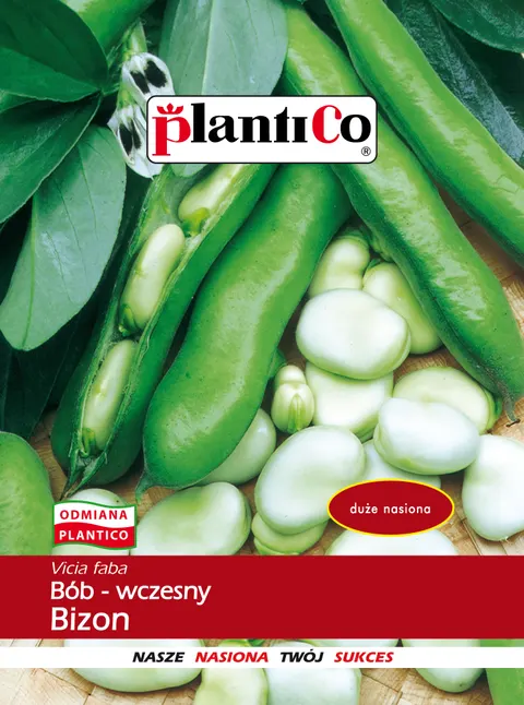 Bób Bizon nasiona 50g - PlantiCo