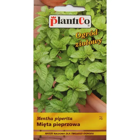 Mięta pieprzowa nasiona 0,1g - PlantiCo