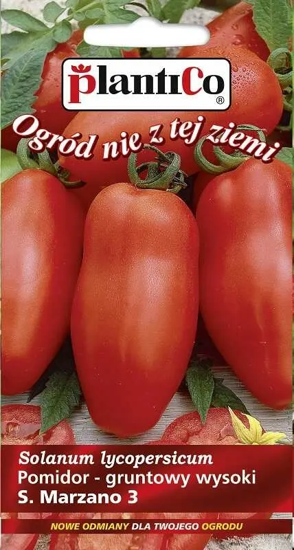 Pomidor gruntowy wysoki San Marzano-3 nasiona 0,2g - PlantiCo
