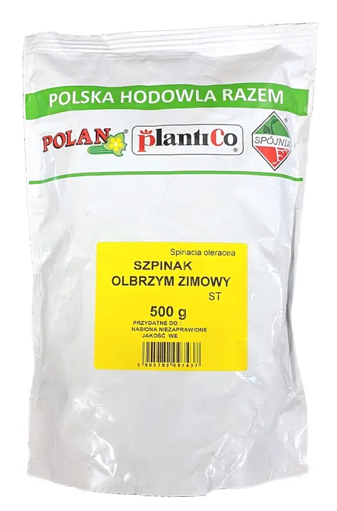 Szpinak Olbrzym Zimowy nasiona 500g - PlantiCo