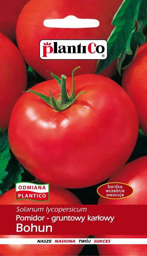 Pomidor gruntowy Bohun 1g PLANTICO bardzo wczesny, karłowy gruntowy o dużych mięsistych owocach