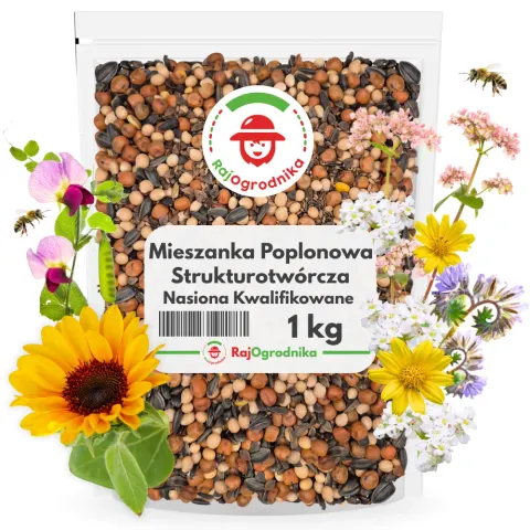 Mieszanka poplonowa strukturotwórcza MP-5 nasiona 1kg
