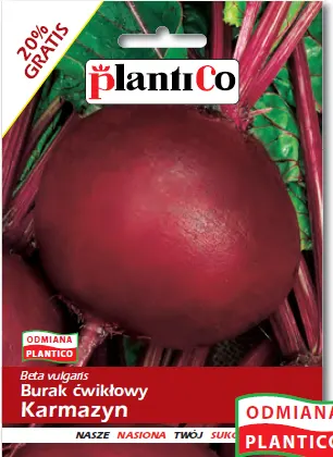 Burak ćwikłowy Karmazyn nasiona 12g - PlantiCo