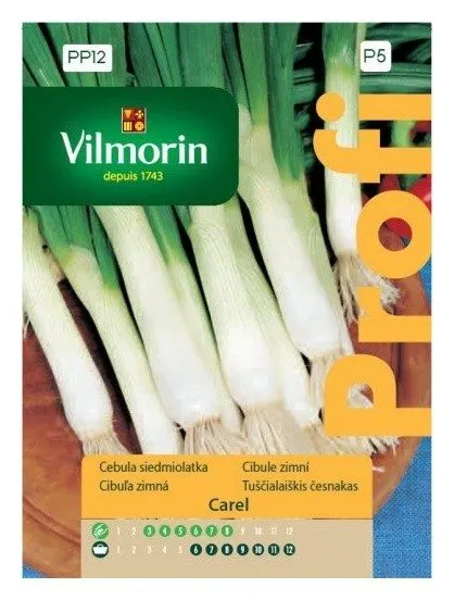 Cebula siedmiolatka Carel nasiona 1g - VILMORIN