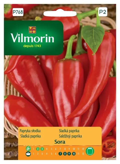 Papryka słodka Sora nasiona 0,5g - VILMORIN