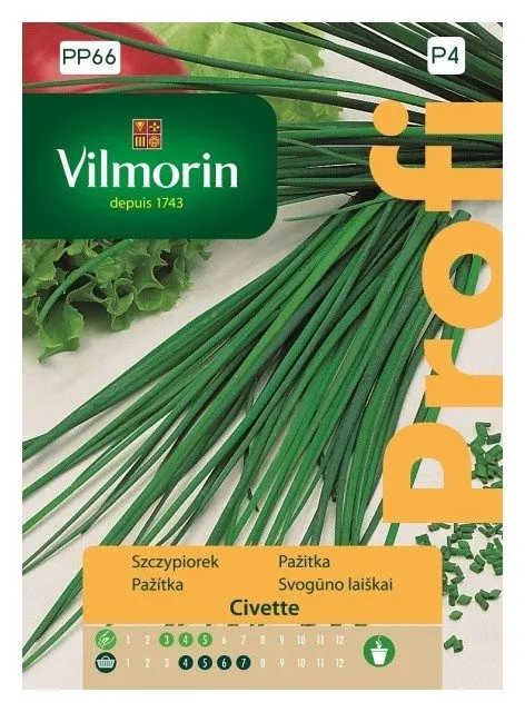 Szczypiorek Civette nasiona 0,5g - VILMORIN