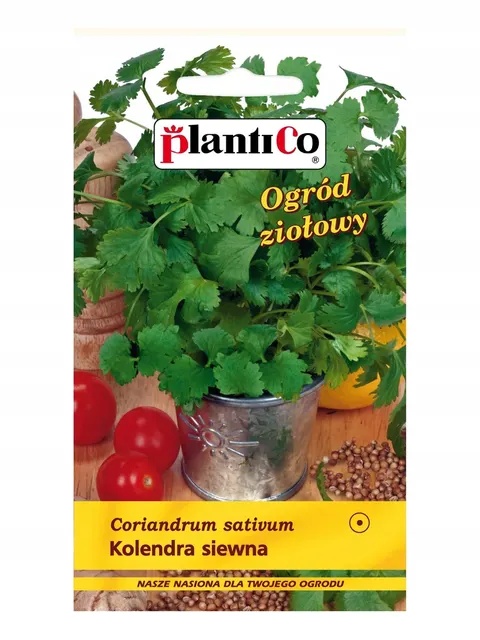 Kolendra siewna 3g PLANTICO aromatyczna przyprawa jednoroczna do ogrodu i donic, liście i nasiona