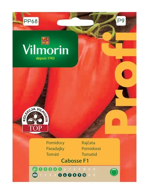 Pomidor Cabosse F1 nasiona 6 szt. - VILMORIN