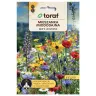 Łąka kwietna Mieszanka roślin miododajnych Bee's Universe nasiona 20g - TORAF