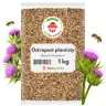 Ostropest plamisty 1 kg nasiona na poplon roślina miododajna - REDUM