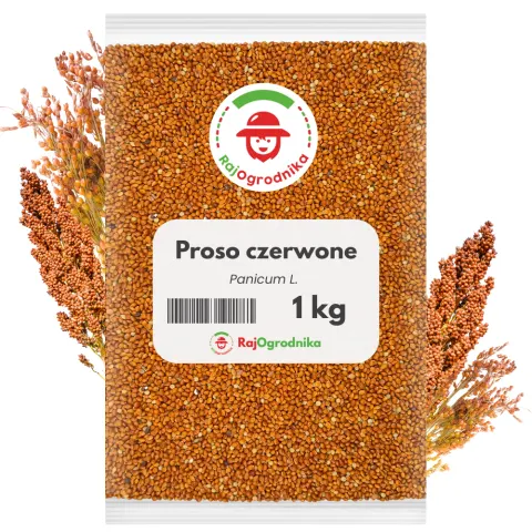 Proso czerwone 1 kg karma dla dzikich ptaków poplon użytkowy - REDUM
