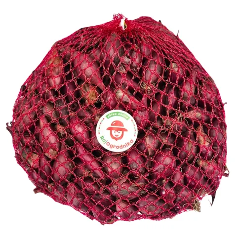 Cebula Dymka ELECTRIC Czerwona Ozima do sadzenia 500g ZIMOWA