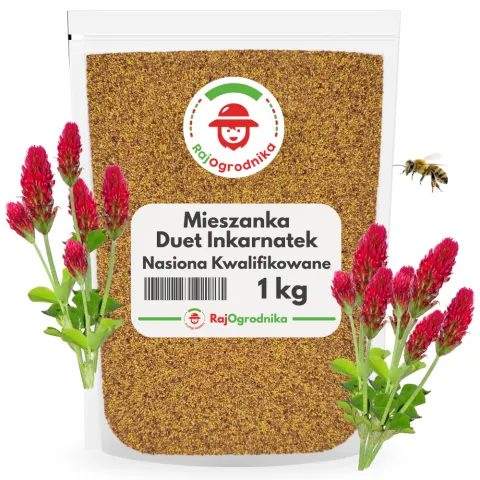 Mieszanka Duet Inkarnatek nasiona na poplon miododajne 1kg