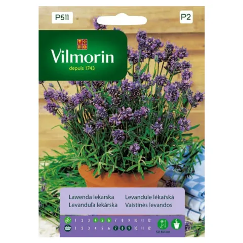 Lawenda Lekarska Premium nasiona 0,2 g - VILMORIN
