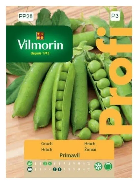 Groch Primavil nasiona 30g - VILMORIN