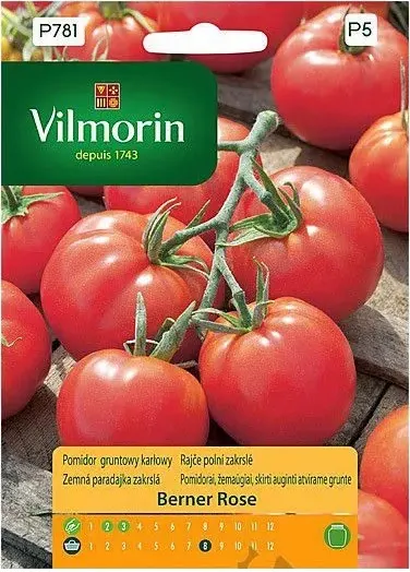 Pomidor Berner Rose gruntowy karłowy nasiona 0,2g - VILMORIN