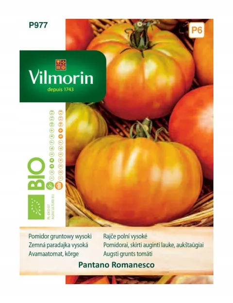 Pomidor Pantano Romanesco gruntowy wysoki Bio nasiona 0,5g - VILMORIN